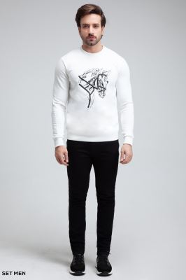 دورس طرح اسب